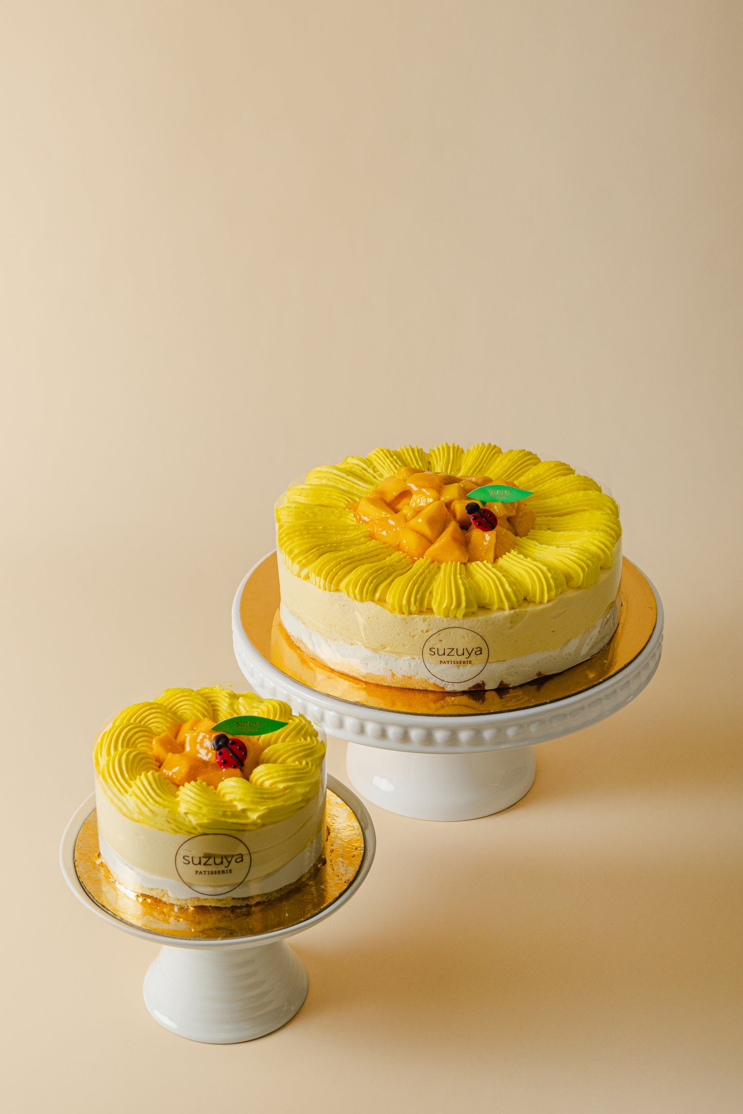 Mango Passionfruit Mousse