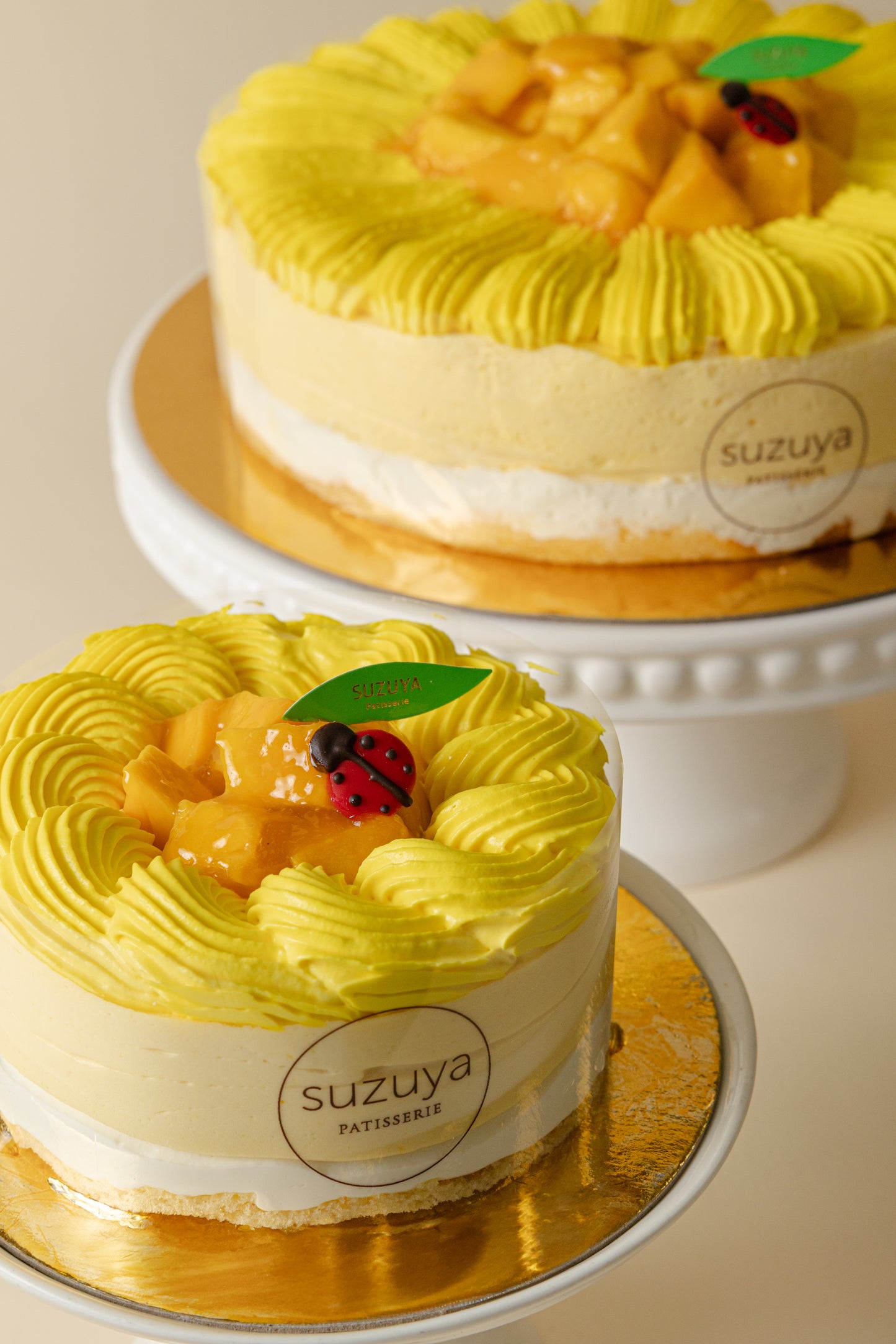 Mango Passionfruit Mousse