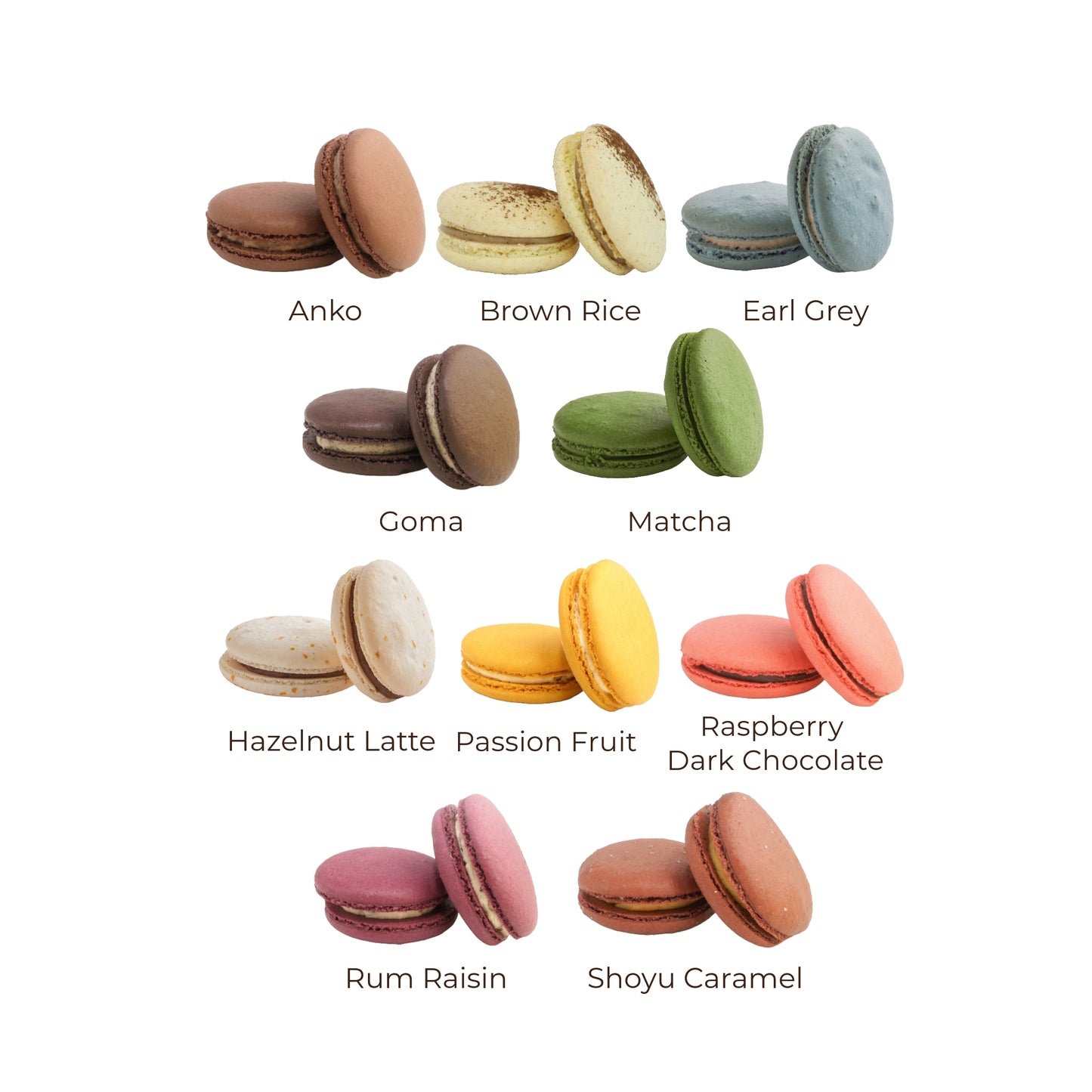 Macaron Gift Box